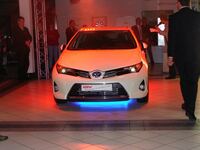 Auris_2013 026